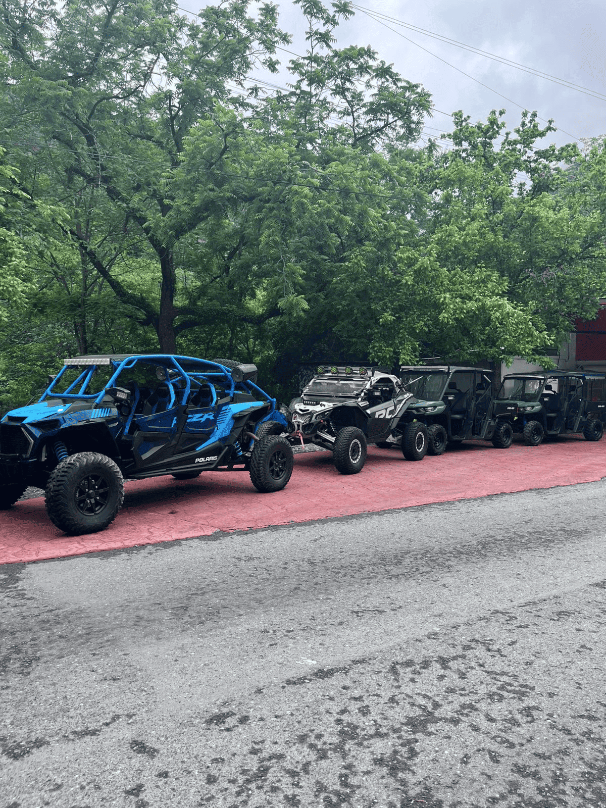RZR Rikochet